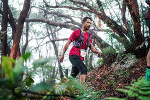 BIB: 
                            <button type="button" onclick="openModal(26295499)" class="btn btn-primary btn-sm float-right btn-popup" data-toggle="modal" data-target=".modal-high-quality">
                        <i class="fas fa-shopping-cart"></i> Add to Cart
                    </button>
                                            <button type="button" onclick="isThisMe(26295499, true)" class="btn btn-success btn-sm float-right btn-popup btn-isme hidden" data-toggle="tooltip" data-placement="bottom" title="นี่คือรูปของคุณใช่ไหม คลิกที่นี่เพื่อเอาเข้าอัลบั้ม">
                        <i class="fas fa-plus"></i> Add to album
                    </button>
                    <button type="button" onclick="isThisMe(26295499, false)" class="btn btn-warning btn-sm float-right btn-popup btn-isnotme hidden">
                        <i class="fas fa-ban"></i> Remove from album
                    </button>